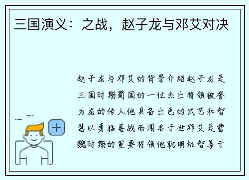 三国演义：之战，赵子龙与邓艾对决